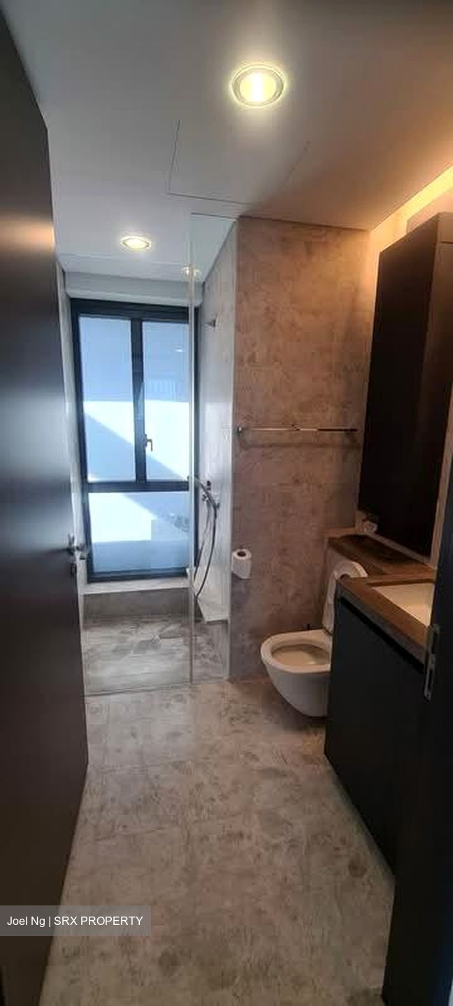 Skysuites@Anson (D2), Apartment #555177021